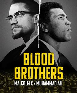 Blood Brothers FOI